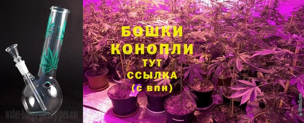 МДПВ Горнозаводск