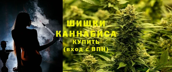 МДПВ Горнозаводск
